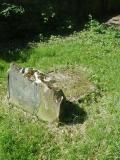 image of grave number 254145